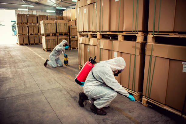 Best Best Pest Control Companies  in Horseshoe Bend, AR