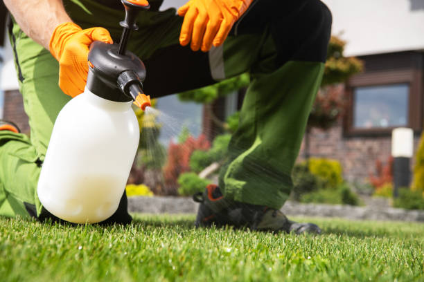 Best Pest Control for Homes  in Horseshoe Bend, AR