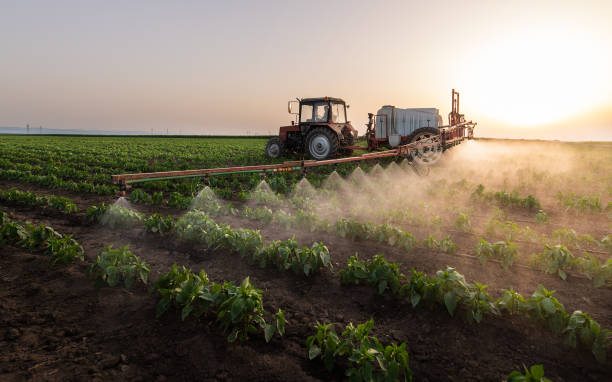 Best Commercial Pest Control Services  in Horseshoe Bend, AR