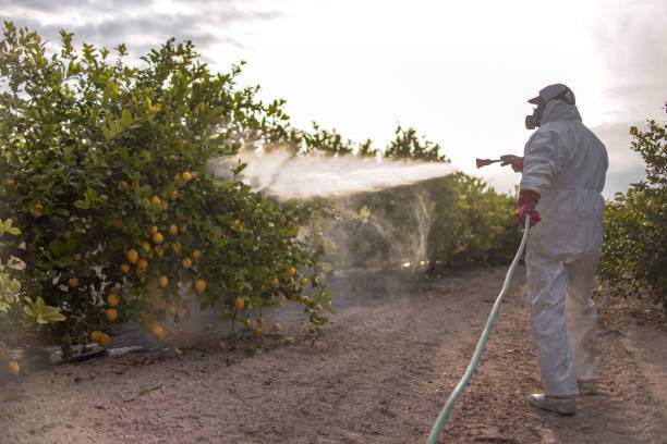 Professional Pest Control in Horseshoe Bend, AR