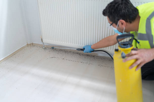 Best Pest Prevention Services  in Horseshoe Bend, AR