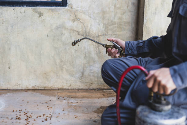 Wasp Removal Services in Horseshoe Bend, AR